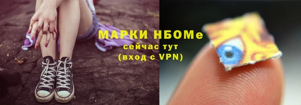 гашик Коряжма