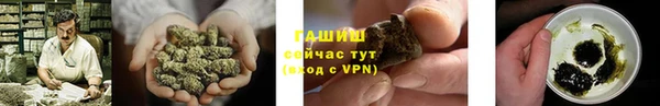 гашик Коряжма