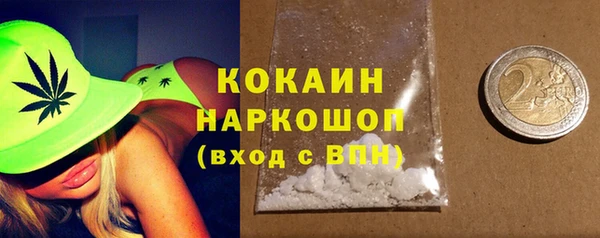 apvp Краснослободск
