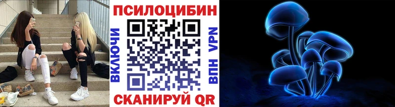 Галлюциногенные грибы Psilocybine cubensis  хочу   Новый Оскол 